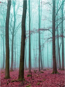 Fotótapéta erdő fák levelek fotótapéta 184 x 254