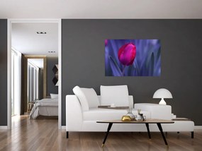 Tulipán bimbó képe (90x60 cm)