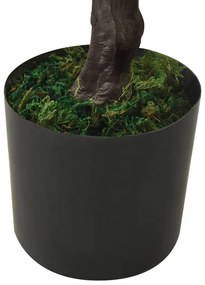 zöld cserepes mű ciprusbonsai 60 cm