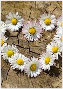 Poszterek A4 Pion Kamilla szív