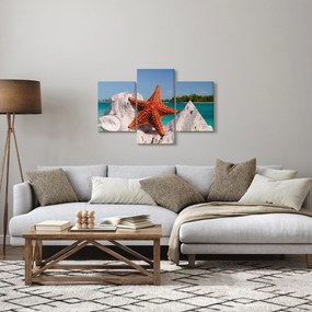 Egy tengeri csillag képe (90x60 cm)