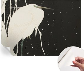 Öntapadós Dekoratív Fotótapéta Hálószobába Téli madár 208x146 cm