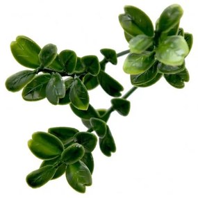 Puszpáng műanyag zöldfal 50x50 cm