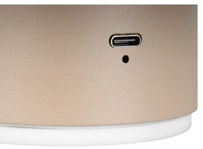 Bézs USB LED fali lámpa Davey – Trio