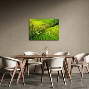 Kép - Rizs teraszok (70x50 cm)
