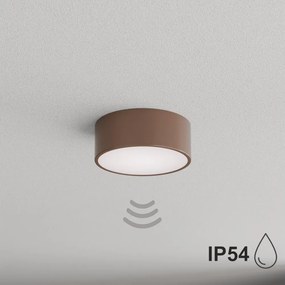 BRILAGI - CLARE fürdőszobai mennyezeti lámpa szenzorral 1xE27/24W/230V Ø 20 cm barna IP54