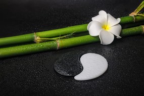 Öntapadó fotótapéta Spa csendélet Jin és  Jang szimbolummal