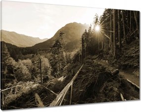 Vászonkép 100x70 Szépia tájkép Szépia