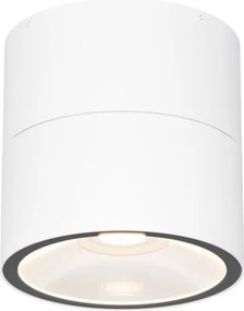 MAYTONI O310CL-L5W3K SPIN Modern Kültéri Mennyezeti Lámpa LED IP54