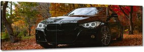 Vászonkép 90x30 Fekete Bmw Ősz