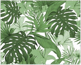 Poszterek 50x40 Monstera Modern minta
