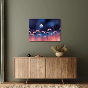 Pitypang képe kék pillangóval (üvegen) (70x50 cm)