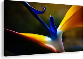 Kép - Egzotikus virág (90x60 cm)