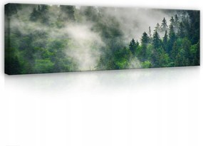 Vászonkép 145x45 Erdő hegyek köd zöld természet nyugalom árnyék fény