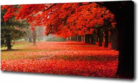 Vászonkép Őszi fák 120x60 cm