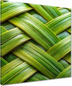 Vászonkép 60x60 Zöld fonott Zöld rattan fonott lemez