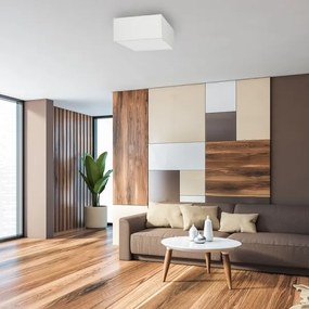 Mennyezeti lámpa ALBION 2xE27/60W/230V