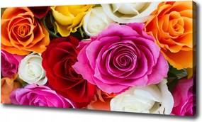 Vászonkép Színes rózsák 120x60 cm