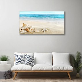 Vászonkép falra tengeri csillag kagyló 140x70 cm