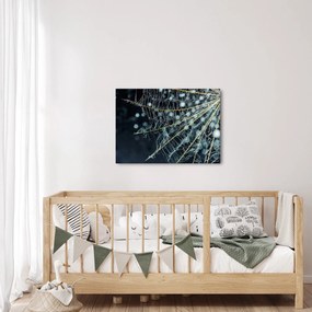 Kép - Virág pókhálóval (70x50 cm)