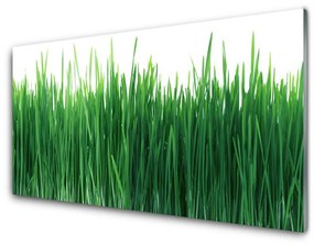 Üvegkép Grass Nature Plant 100x50 cm 2 fogas