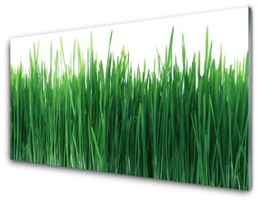 Üvegkép Grass Nature Plant 120x60cm