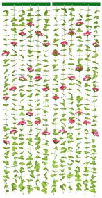 Piros-zöld függöny ajtóra 90x190 cm Roses – Maximex