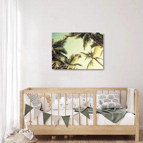 Kép kókuszpálmával (üvegen) (70x50 cm)