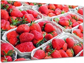 Festmények 120x80 Konyhai képek Forradalmak