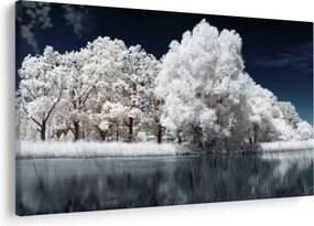 Kép - Hófehér fák (90x60 cm)