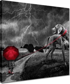 Vászonkép 30x30 Túlnőttem ezen a sétán