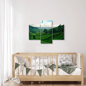 Kép - Teaültetvények Malajziában (90x60 cm)