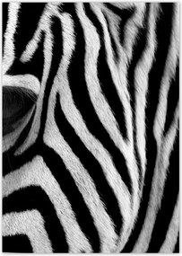 Poszterek A4 Pion Fekete-fehér csíkos Zebra