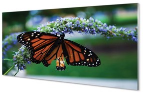 Akrilkép Pillangó a virágon 125x50 cm