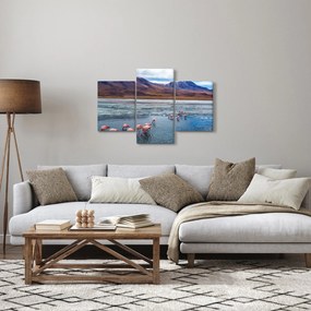 Kép - Flamingók (90x60 cm)