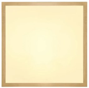 Globo 12382-15 - LED Mennyezeti lámpa TIBEY LED/15W/230V 25x25 cm