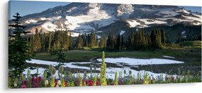 Kép - Mount Rainier (120x50 cm)