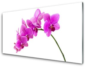 Modern üvegkép Orchidea virág orchidea 120x60cm 4 fogas