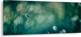 Kép - A fű részlete (120x50 cm)