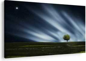Az aurora borealis képe egy lápvidéken (90x60 cm)