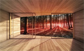 Flizelin fotótapéta Erdő az ablakon túl Nap Fák Természet 254x184 +ragasztó