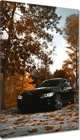 Vászonkép 80x120 Fekete Bmw Ősz