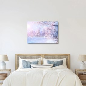 Kép - Fagyos tél (70x50 cm)