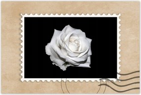 Poszterek 120x80 Rózsa Virág Virágok Rózsa