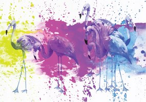 Fotótapéta Flamingók absztrakt színes vinil 460x300 +ragasztó