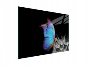 Üveg Vágódeszka 40x30 Pillangó Edzett Üveg