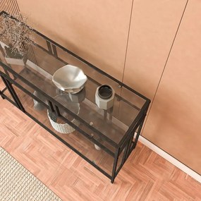 Konzolasztal Venedik - 100 Black, Fume Glass