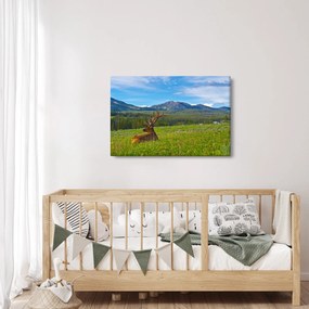 Kép - Szarvas a réten (90x60 cm)