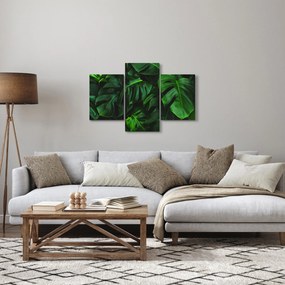 Monstery levelek képe (90x60 cm)