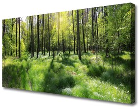 Vászonfotó Forest Grass Nature Plant 120x60 cm